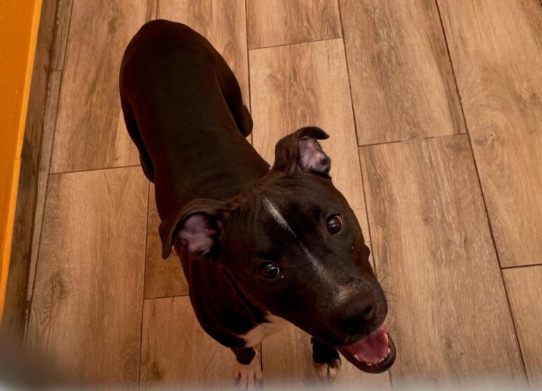 multimedia-foto91700-48-1