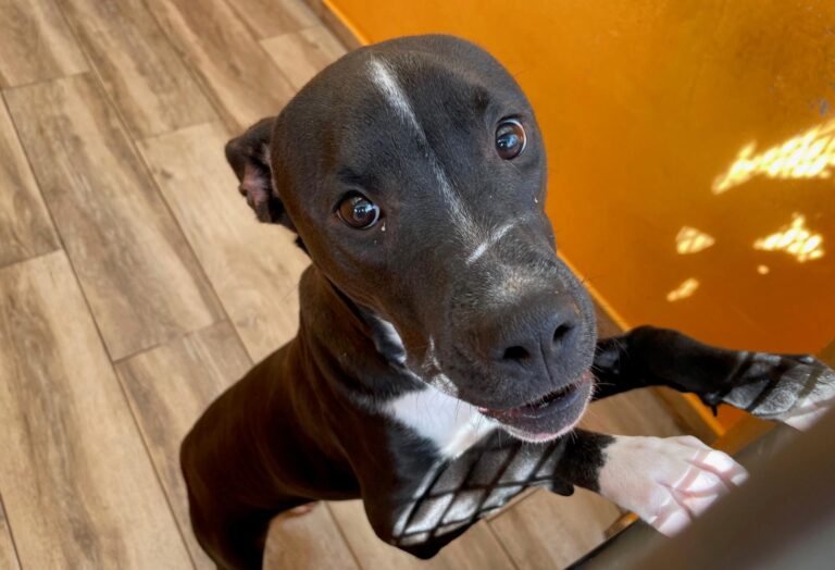 multimedia-foto91701-48-1