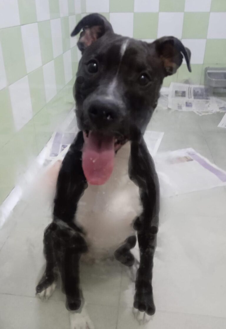 multimedia-foto91702-48-1