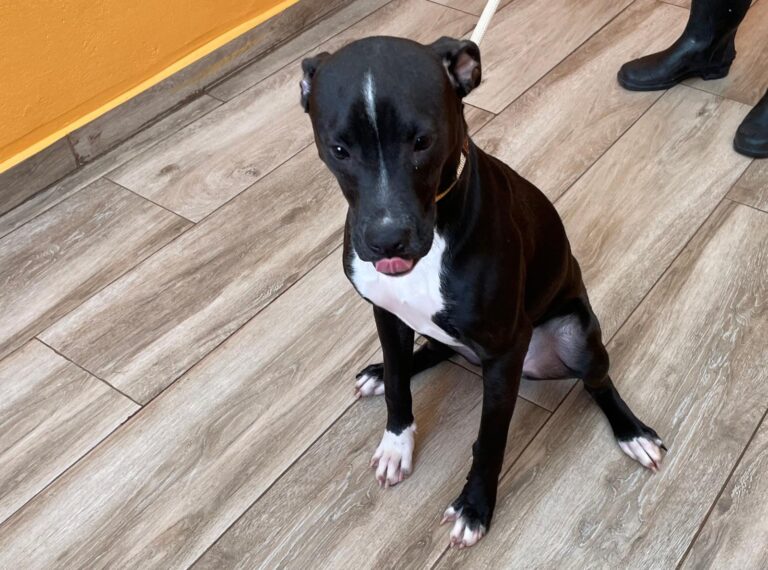 multimedia-foto91703-49-1