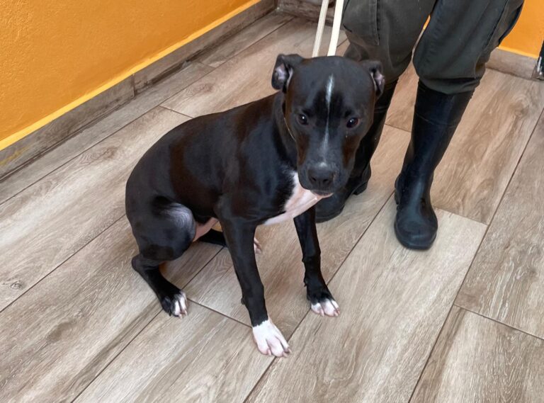 multimedia-foto91704-49-1