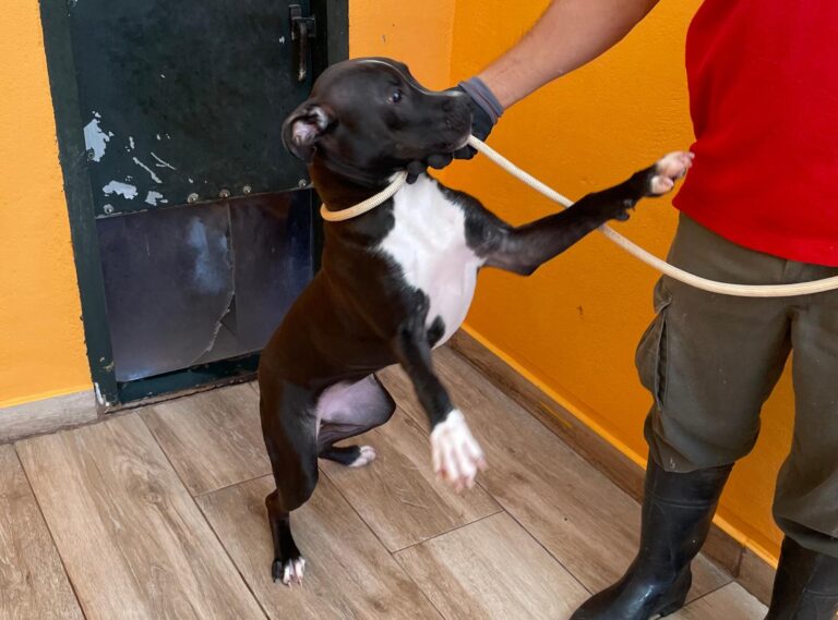 multimedia-foto91705-49-1