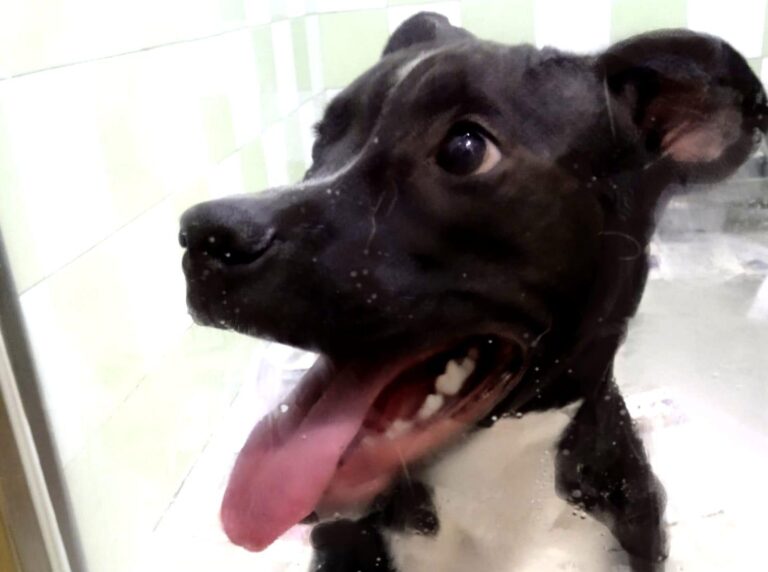 multimedia-foto91707-50-1