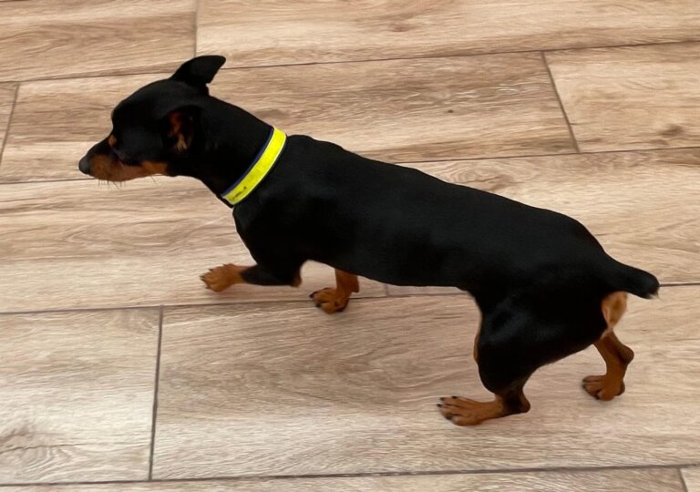 multimedia-foto91708-519-1