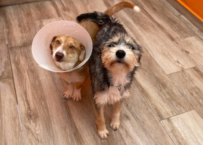 multimedia-foto91720-503-1