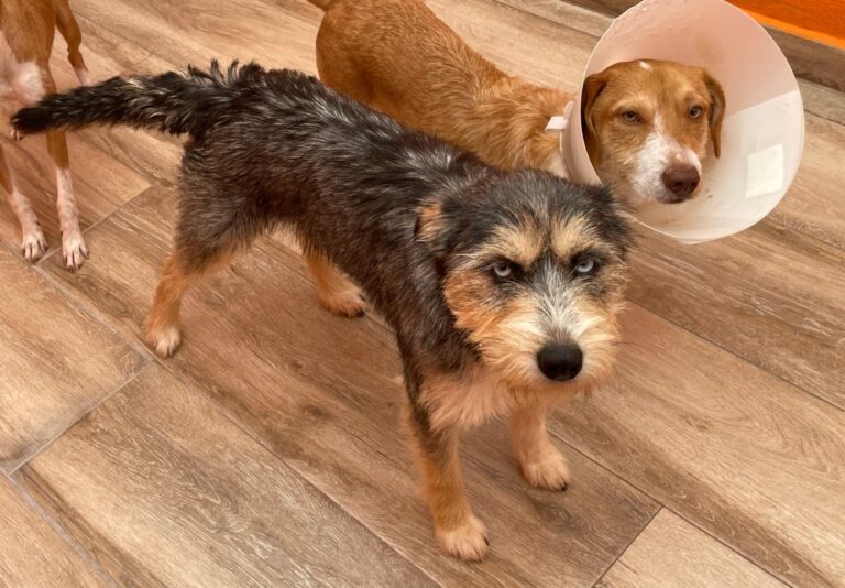 multimedia-foto91721-503-1