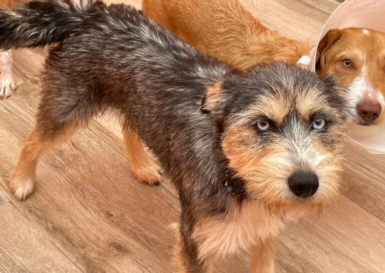 multimedia-foto91722-504-1