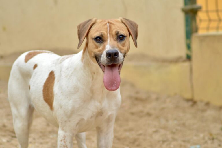 multimedia-foto91746-187-1