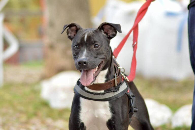 multimedia-foto91748-353-1