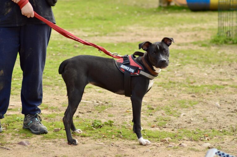 multimedia-foto91749-353-1