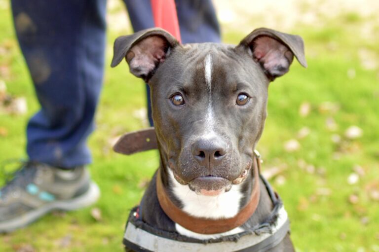 multimedia-foto91750-353-1