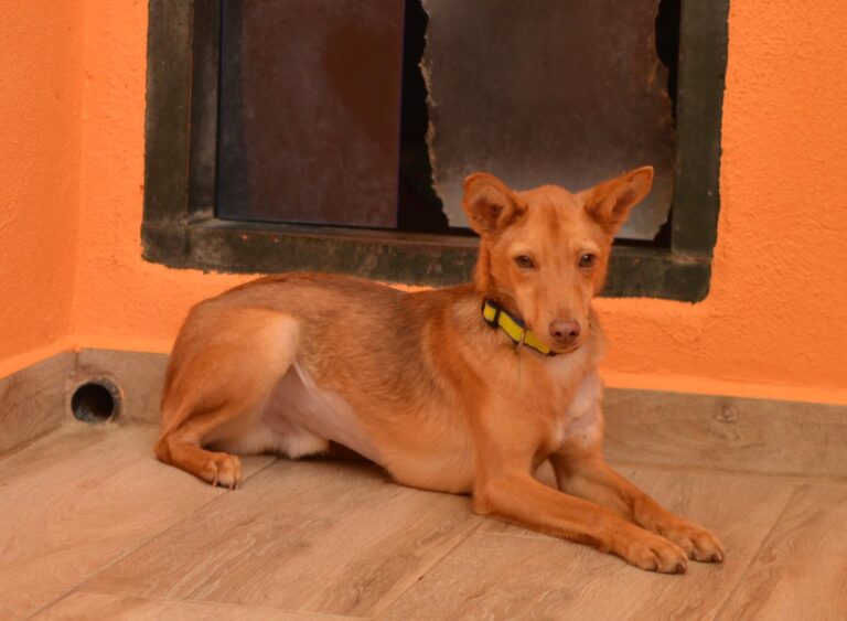 multimedia-foto91752-407-1