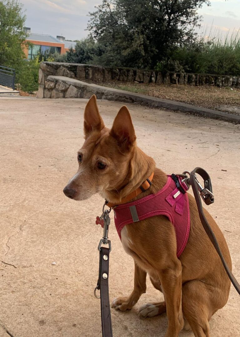 multimedia-foto91756-258-1