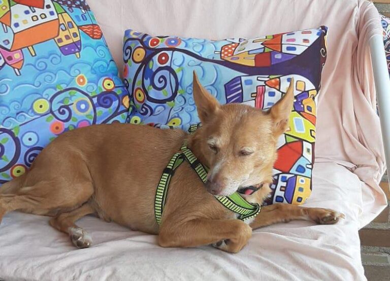 multimedia-foto91757-259-1