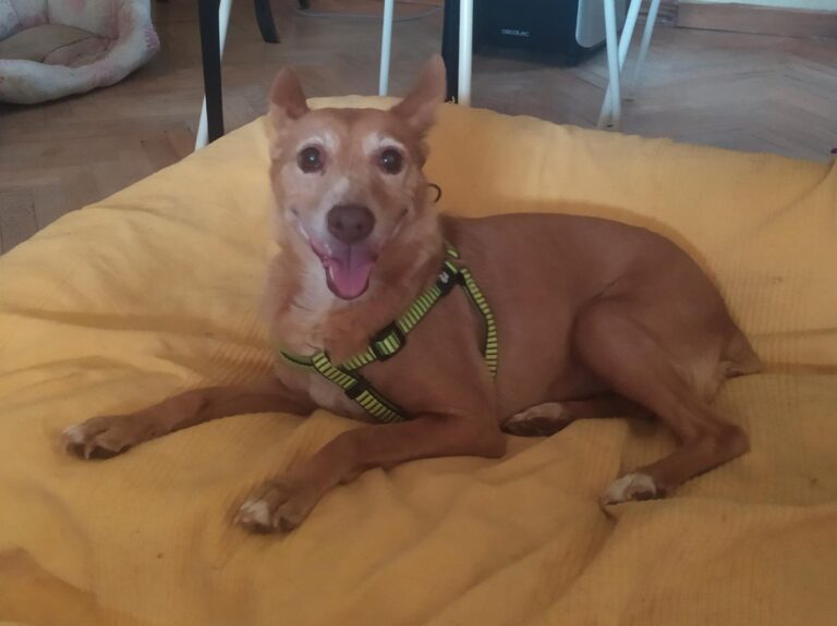 multimedia-foto91758-259-1