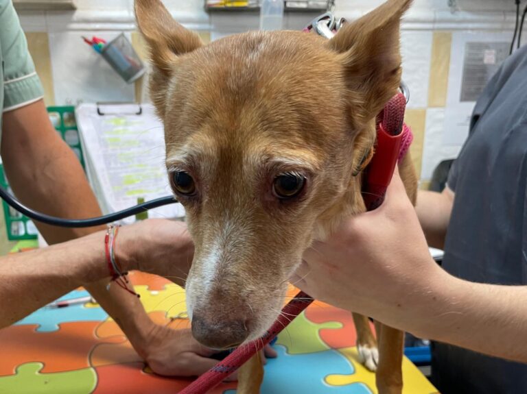 multimedia-foto91759-259-1