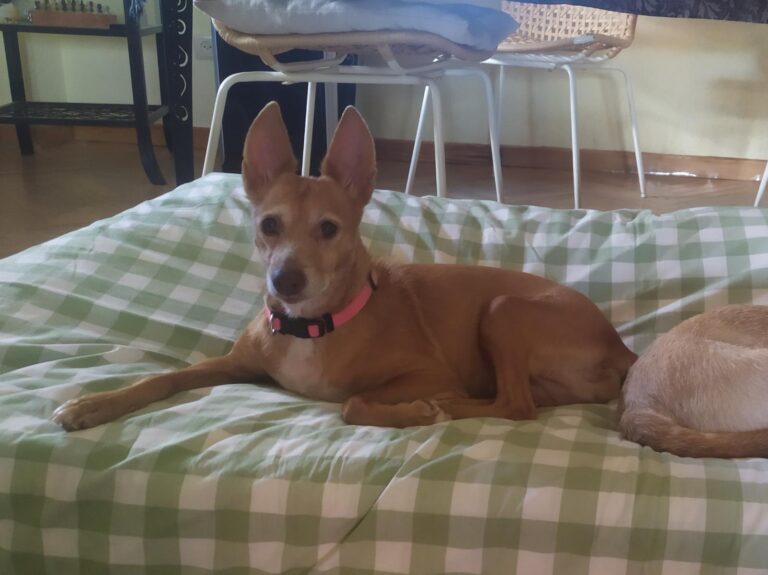 multimedia-foto91760-259-1