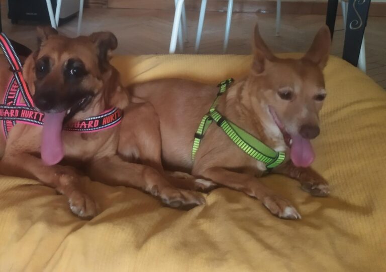 multimedia-foto91761-260-1