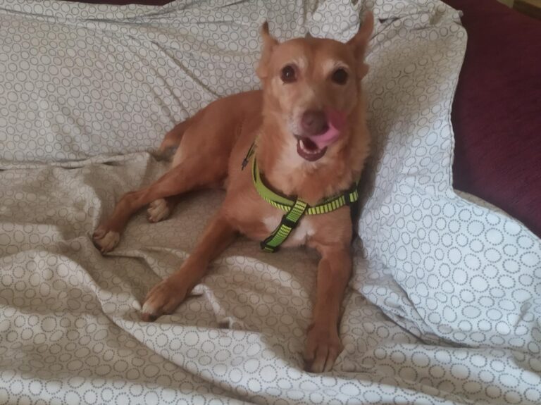 multimedia-foto91762-260-1