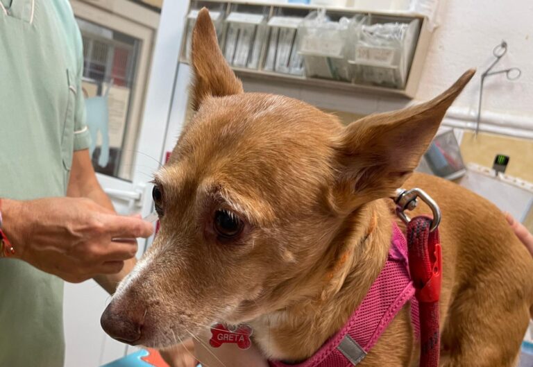 multimedia-foto91764-260-1