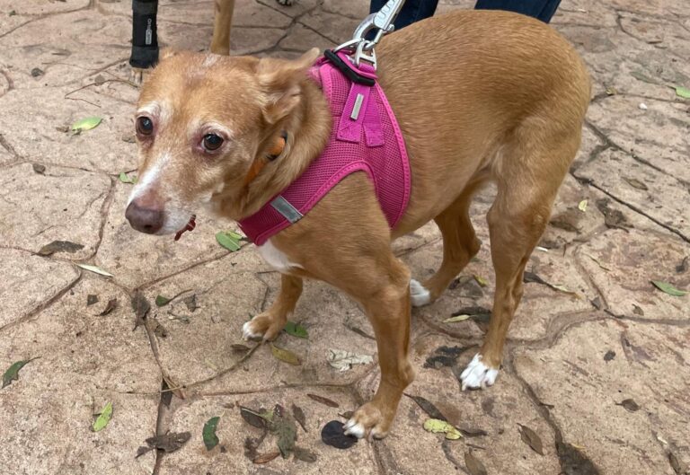 multimedia-foto91765-261-1