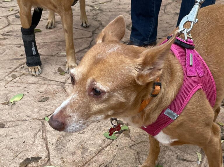 multimedia-foto91766-261-1