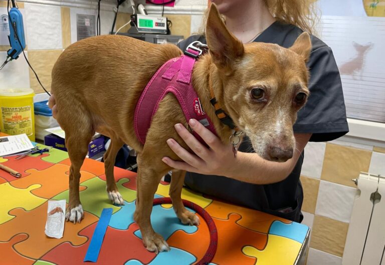 multimedia-foto91768-289-1