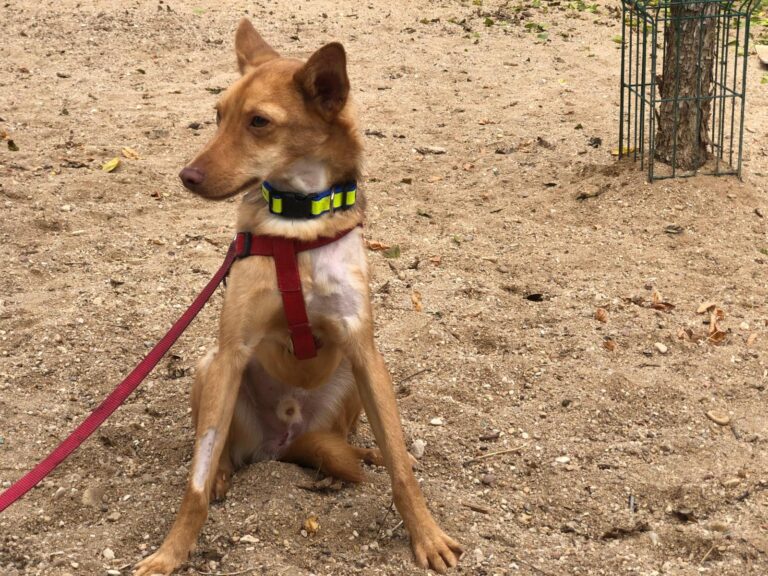 multimedia-foto91770-802-1