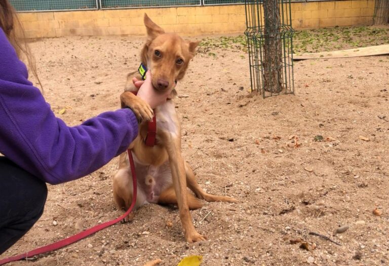 multimedia-foto91772-802-1