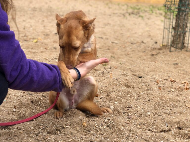 multimedia-foto91773-803-1