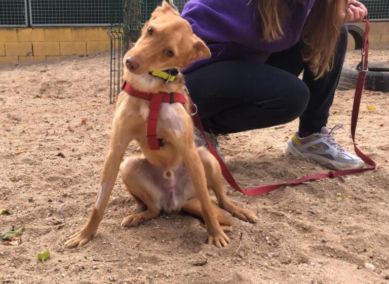 multimedia-foto91774-804-1