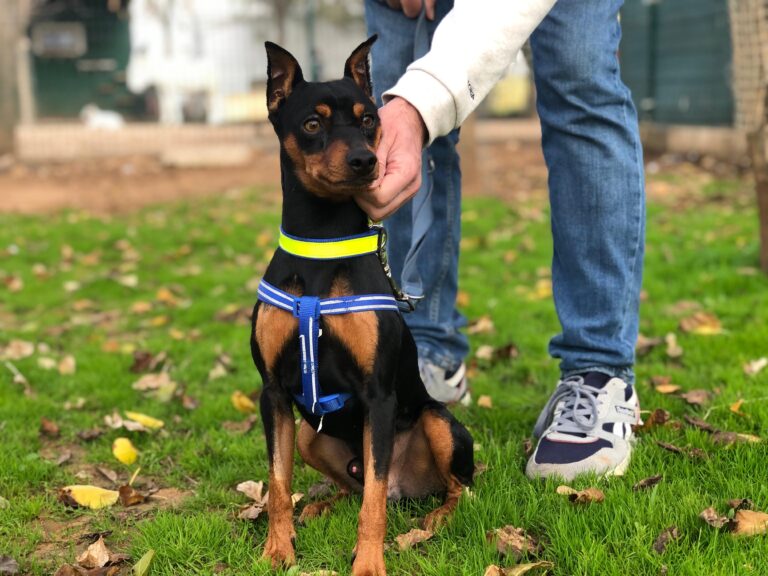 multimedia-foto91792-64-1