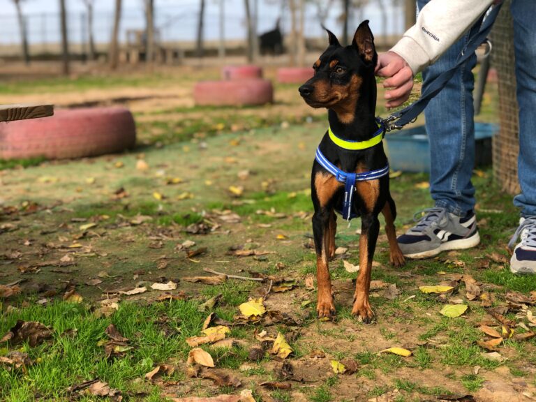 multimedia-foto91793-65-1