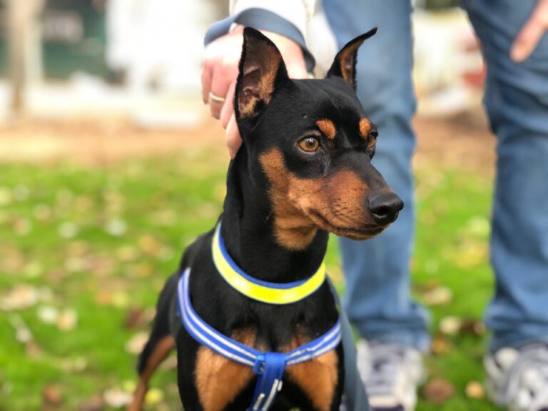 multimedia-foto91794-66-1