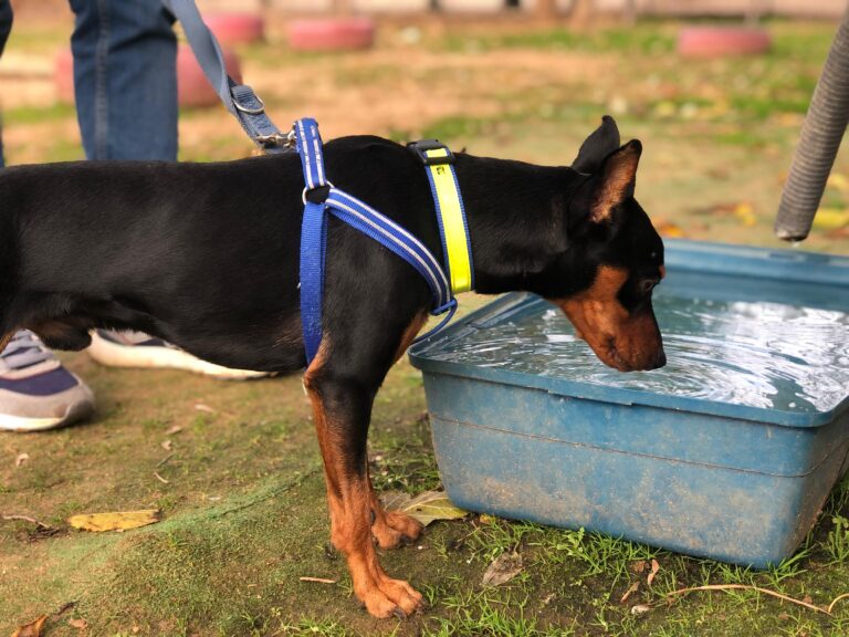 multimedia-foto91795-67-1