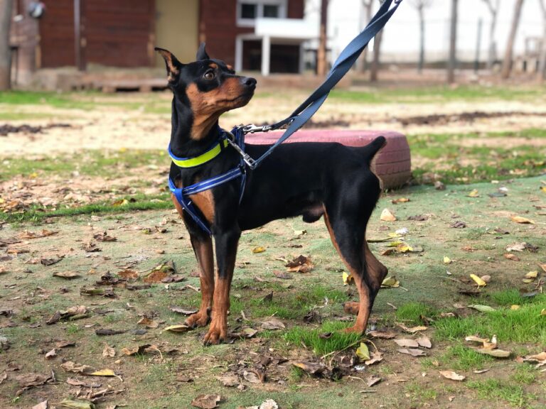 multimedia-foto91797-69-1