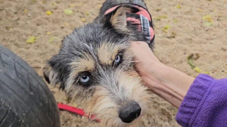 multimedia-foto91800-77-1