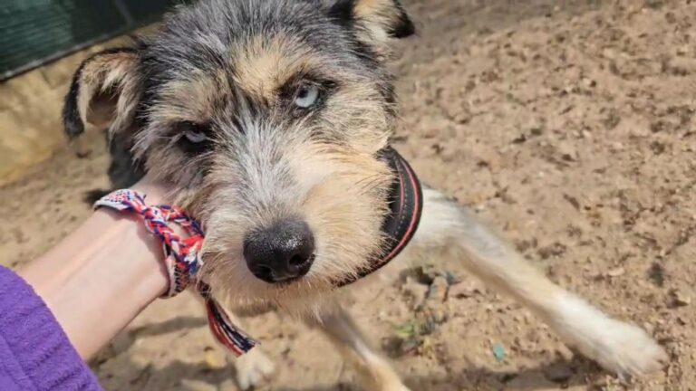 multimedia-foto91801-77-1