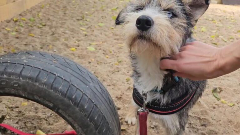 multimedia-foto91802-77-1