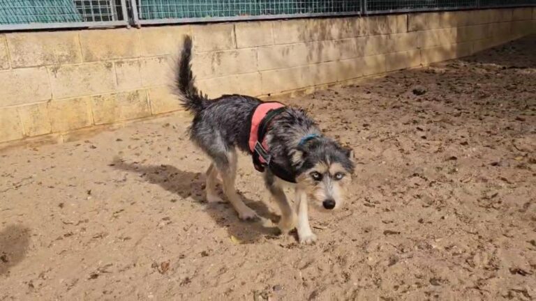 multimedia-foto91804-78-1