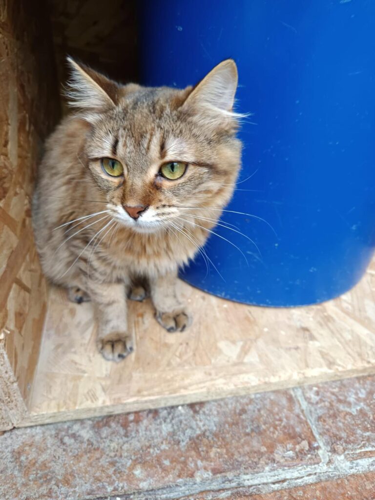 multimedia-foto91838-70-1