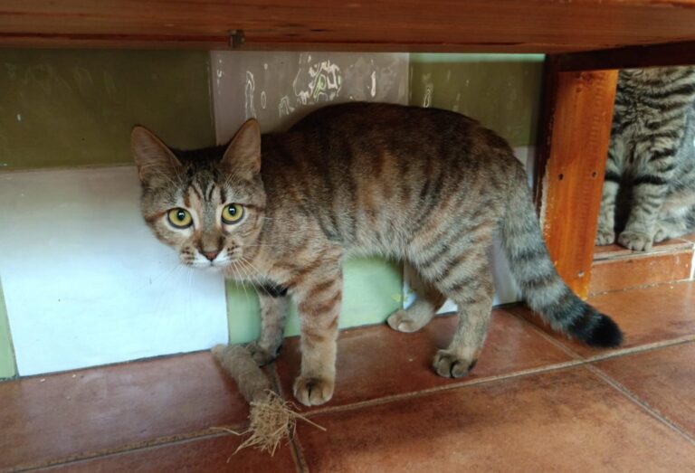 multimedia-foto91839-129-1