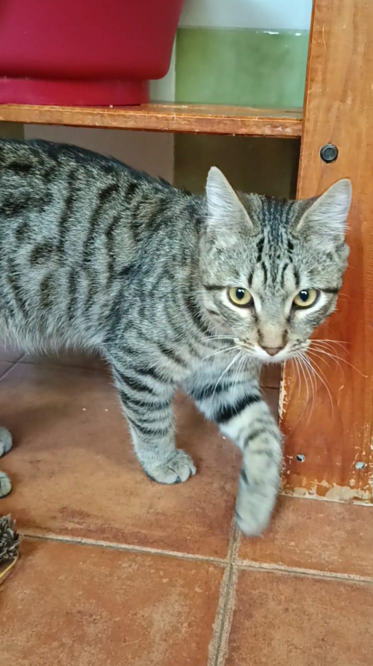 multimedia-foto91866-721-1