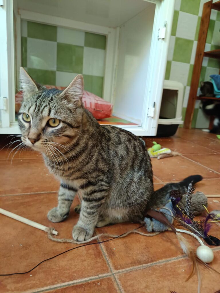 multimedia-foto91867-721-1