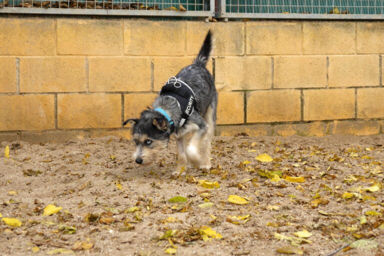 multimedia-foto91885-436-1