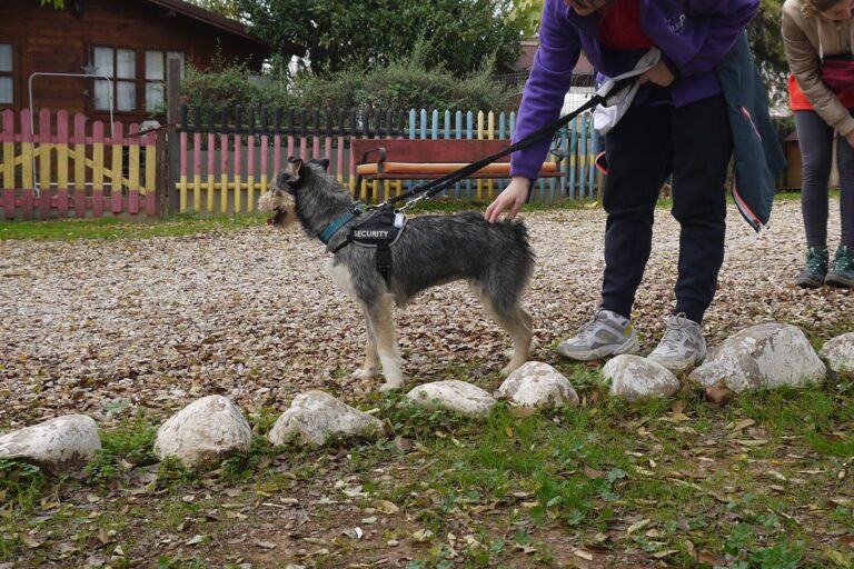 multimedia-foto91886-436-1