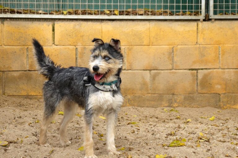 multimedia-foto91887-436-1