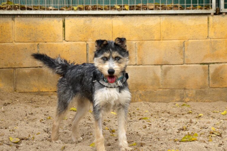 multimedia-foto91888-436-1