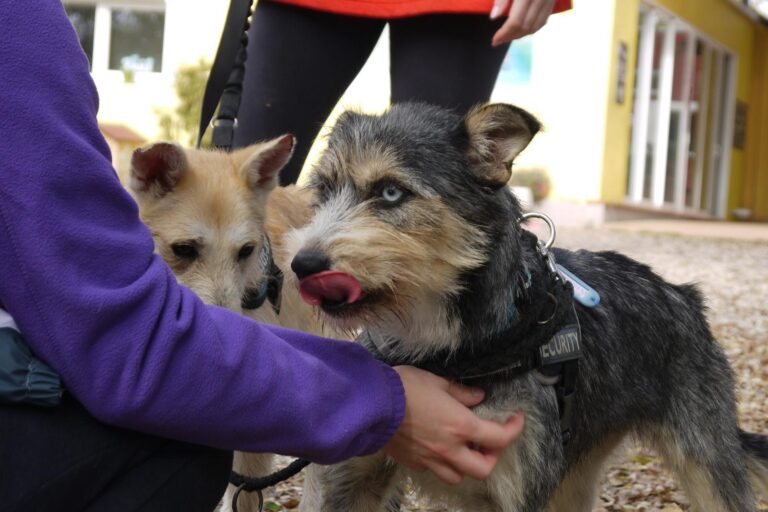 multimedia-foto91889-437-1