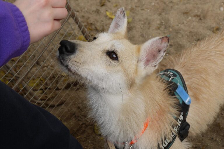 multimedia-foto91891-577-1